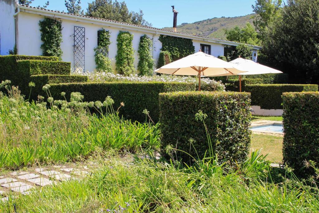 Belair Country House Bed & Breakfast Парл Екстериор снимка